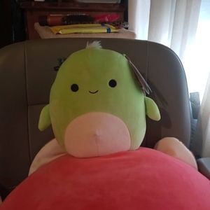 Herb the turtle squishmallow